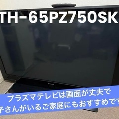 大画面　
65 インチPanasonic VIERA