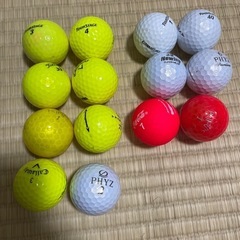 ロストゴルフボール14個ランダムセット