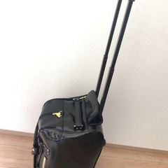【未使用】★5月10日までの出品★セシルマクビーキャリーバック
