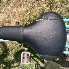 エメラルドグリーン 20インチ子供用自転車の画像