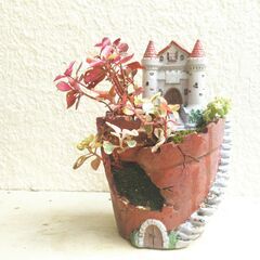 お城の観葉植物