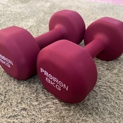 体鍛えませんか？ 
ダンベル  8kg×2