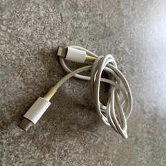 アップル純正　タイプCライトニングケーブル　iPhone充電ケーブル