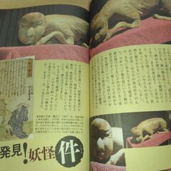 『怪 vol.0017』角川書店の画像