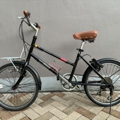 ドッペルギャンガー     マイパラスmodel709の画像