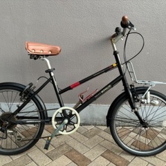 ドッペルギャンガー     マイパラスmodel709