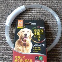 未使用　ペット　光る首輪(犬猫用)Mサイズ