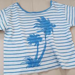 ヤシの木Tシャツ
