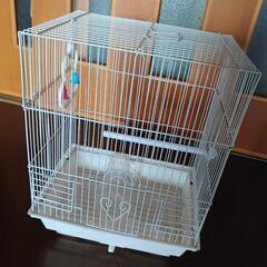 鳥かご