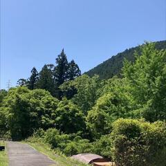 仲間になろうよ‼️