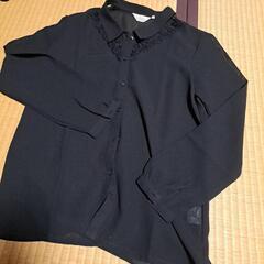 Hisense　レディースシャツ