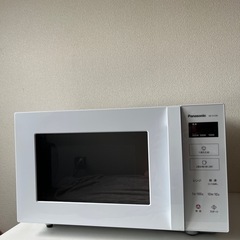 Panasonic NE-FL100