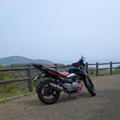 GSR250の画像