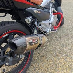GSR250の画像