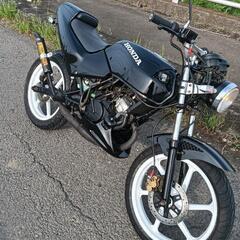 HONDA NS50F 