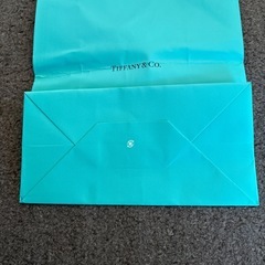 ティファニーショップバックの画像