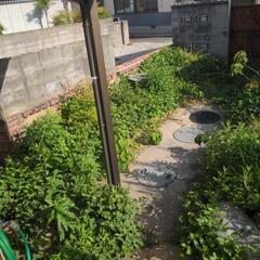 庭の草刈りお願いします。