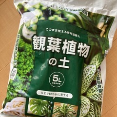 観葉植物の土　5L

