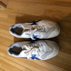 体育館シューズの画像