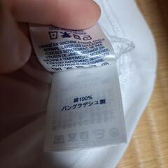 LANDSENDTシャツの画像