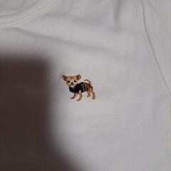 LANDSENDTシャツの画像