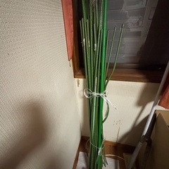家庭菜園など支柱３０個以上