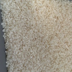 丹波篠山産　お米　5キロ　精米したばかり
