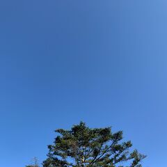 お庭の事なんでもご相談ください