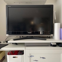 テレビ