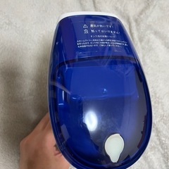 スチームアイロンの画像