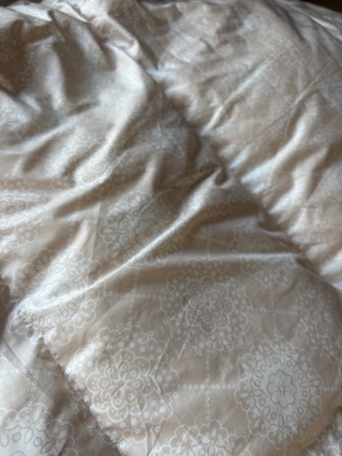 西川リビング　羽毛布団　掛け布団　シングル