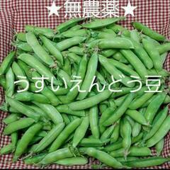 ★期間中農薬不使用★新鮮！甘い！うすいえんどう豆
