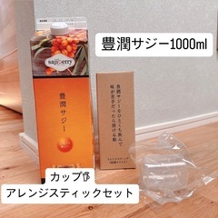 豊潤サジー 1000ml 計量カップ・アレンジスティック セット