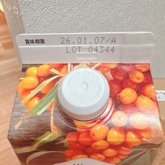 豊潤サジー 1000ml 計量カップ・アレンジスティック セットの画像