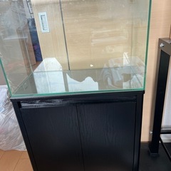 GEX 60cm水槽　海水、淡水用