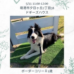 アロマの譲渡会