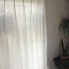 レースカーテン2枚組