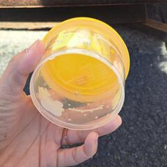 ポムポムプリン小物入れの画像
