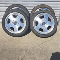 引き取り者確定済み