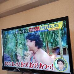 19年製　SHARPAQUOS24型TV