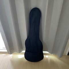 【20%OFF中です！】ギター　Legendの画像
