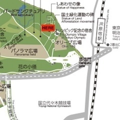 代々木公園で！廣平式太極拳&気功        ウイルスVirusに負けない心と身体のバランスをの画像