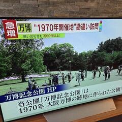 【5/13迄 特価】有機EL 液晶テレビ LG OLED55C7Pの画像