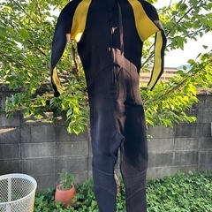 ウェットスーツ　Mサイズの画像