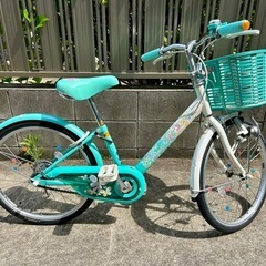 ブリヂストン ジュニア向け自転車 エコパル 20インチ ミント 