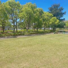 🩴 ☀️浜松城公園を一緒にお散歩しませんか🚶‍♀️🚶