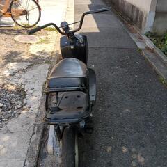 ホンダズーマー！の画像