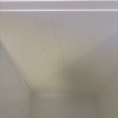 ゴミ箱  25L ダストボックス カインズ 2個セットの画像