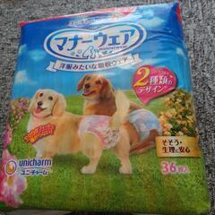 犬、オムツ、餌