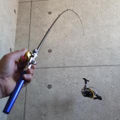 釣具  ペン竿2本で